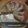 ぁーさん♪'s cooksnap of when they made おいしい！餃子の焼き方.