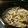 ecobeer's cooksnap of when they made 土鍋でつくるきのこの炊き込みご飯.