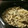 ecobeer's cooksnap of when they made 土鍋でつくるきのこの炊き込みご飯.