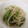 アズーロコンパクト's cooksnap of when they made しし唐ともやしのナムル.