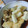 脩ﾏﾏ's cooksnap of when they made 揚げ出し？揚げ浸し？お豆腐＆夏野菜.