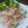 まんまるかえる's cooksnap of when they made あえるだけ★明太しらたき.