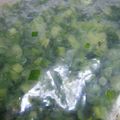 うめもどき's cooksnap of when they made 【簡単】小ネギをパラパラ保存する方法.