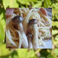 ＭＡＹＯＭＡＹＯ　's cooksnap of when they made ☺簡単濃厚☺きのこカルボナーラ☺.