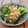 あーこ姐's cooksnap of when they made 簡単☆ほうれん草のおひたし.