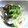 Ｒｅｃｏｔｙ's cooksnap of when they made レンジで簡単♡ なすと玉ねぎの南蛮漬け.