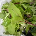 モリモリモンモン's cooksnap of when they made 香り野菜の保存法.
