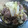 ケロのん's cooksnap of when they made 牛肉とはくさいのサッと煮.