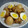 ぐうたらパンダ。's cooksnap of when they made 鶏とゆで卵のさっぱり煮♪.