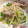 ココアLoveママ's cooksnap of when they made もやしと豚バラ肉のたっぷりネギ塩炒め.