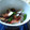 cookpading's cooksnap of when they made 即席和え＊ネギ梅大根.