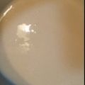 プークマ's cooksnap of when they made 簡単♪冷めてもトロトロ！チーズソース.