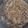 ★ささ★'s cooksnap of when they made 我が家の定番 つゆだく牛丼.
