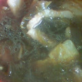 清ちゃん0430's cooksnap of when they made 簡単！冷やし肉うどん.
