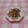 パンダさんでーす。's cooksnap of when they made れんこんのバター醤油炒め.