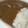 CoffeeCoco's cooksnap of when they made 超簡単! 挽肉ときのこのタイ風カレー!♪.