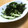 ねっちゃんっ's cooksnap of when they made きゅうりとわかめの甘酢麺つゆゴマ和え.