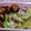 いづづん's cooksnap of when they made ちくわのシーチキンマヨネーズ焼き.