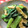 ぷりんせすはんばーぐ's cooksnap of when they made 小松菜と油揚げの胡麻和え.