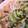 nyaokun's cooksnap of when they made 冷しそうめんザーサイ＆きゅうり乗せ.