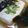 ユーロン's cooksnap of when they made わかめ入り煮やっこ.