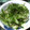 ゆみらんたん's cooksnap of when they made みょうがと胡瓜の塩ゴマ油和え〜.