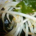 いずみるく's cooksnap of when they made ★もやしとﾜｶﾒのｺﾞﾏぽん酢和え★.