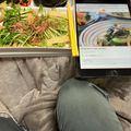 プロフェッショナル24's cooksnap of when they made わかめときゅうりのさっぱり和え.