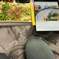 プロフェッショナル24's cooksnap of when they made わかめときゅうりのさっぱり和え.