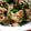 羽尼うに's cooksnap of when they made ニラたっぷり豚肉しょうが焼き.