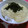 ☆しょーこ☆'s cooksnap of when they made 簡単なのに超絶品！とろろ御飯★.