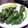 いっち38's cooksnap of when they made ししとうとチーズのアンティパスト.