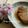 びーこちゃん's cooksnap of when they made 簡単ブリの照り焼き.
