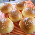 モロタカ's cooksnap of when they made まんまる！ハンバーガーバンズHB.