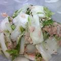 たんちゃず's cooksnap of when they made 白菜をさっぱり！いっぱい食べよう*.