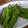 ミッチェルズ's cooksnap of when they made ししとうのかわり炒め.