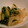 ペンペン一家's cooksnap of when they made ほうれん草と白菜のゴマあえ.
