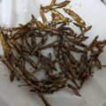 カミツレ＊＊＊'s cooksnap of when they made 田作り【おせち】.