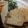 チ・ロール's cooksnap of when they made HB ＊ごまあん食パン＊.