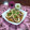 ☆むさし☆'s cooksnap of when they made 焼きいかと大豆の中華煮❀.