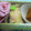 yukanosuke's cooksnap of when they made お弁当おかず★いんげんのマヨチー焼き③♫.