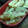 CoCoa☆'s cooksnap of when they made 簡単じゃがいも炒め.