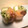 ミワボシ's cooksnap of when they made 生春巻き　肉味噌風添え【具のソース】⑦.