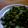 ミクサワ～'s cooksnap of when they made ☆大根菜☆のゴマふりかけ.