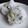 のおこ's cooksnap of when they made ■春のおにぎり■.