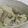 umemodoki's cooksnap of when they made 塩豚とハーブの混ぜご飯.
