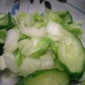 ぽんぽん堂's cooksnap of when they made 白菜とキュウリのカンタン浅漬け.