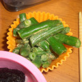 井澤綾華（井澤農園）'s cooksnap of when they made お弁当に♪いんげんのカレーマヨ和え.