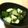 ねっちゃんっ's cooksnap of when they made §中華風§ゴロゴロきゅうり.