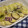 ＨＥＷＡ's cooksnap of when they made 簡単☆さつまいもとチーズのグラタン.